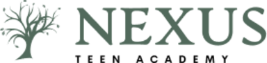 Nexus Teen Academy: Mesquite logo