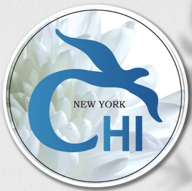 Carnegie Hill Institute logo