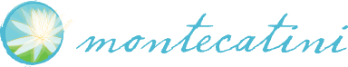 Montecatini logo