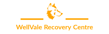 Wellvale Recovery Centre logo