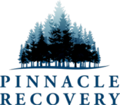 Pinnacle Recovery logo