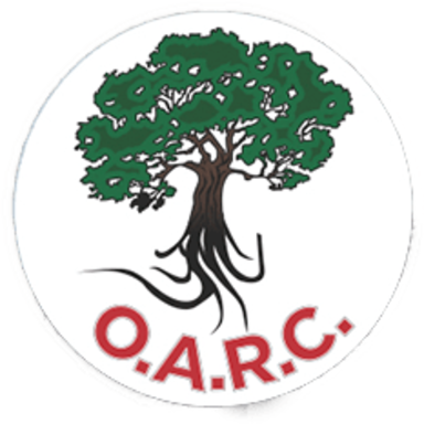 Ohio Addiction Recovery Center logo