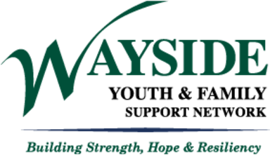 Wayside Youth and Family Support Network logo