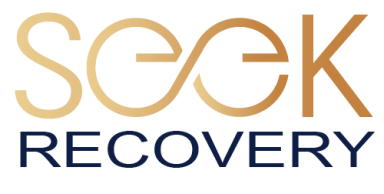 Leaders BHC - Seek Recovery logo