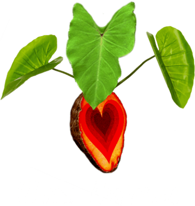Ohana Makamae logo