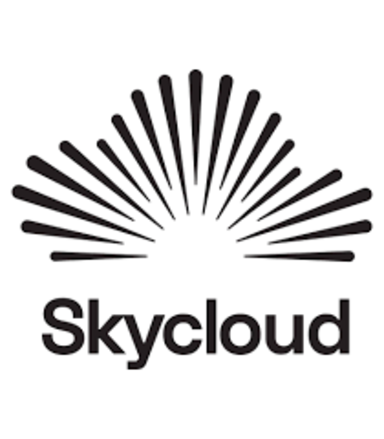 Skycloud Health (Virtual Services)  logo