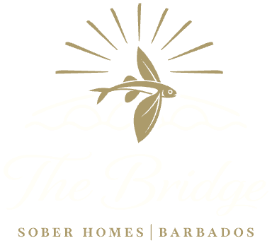 The Bridge Barbados logo