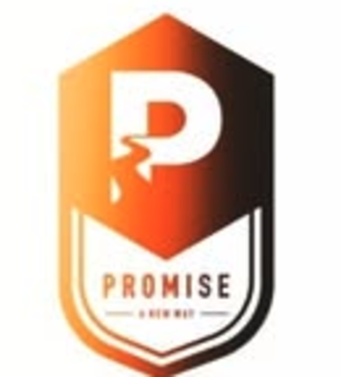 Promise A New Way logo