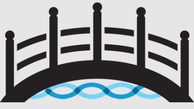 The Bridge Boca Raton logo