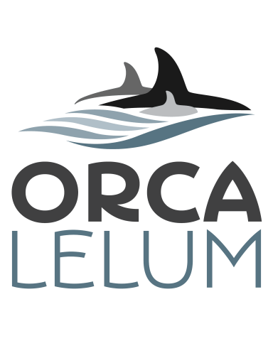 Orca Lelum logo