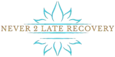 Never 2 Late Recovery logo