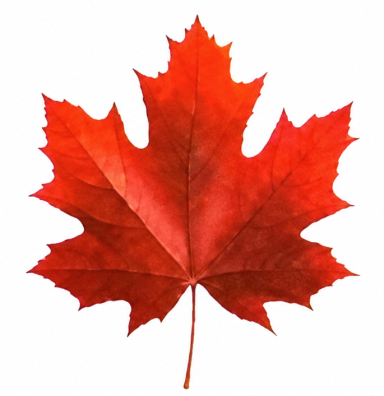 Maple House logo