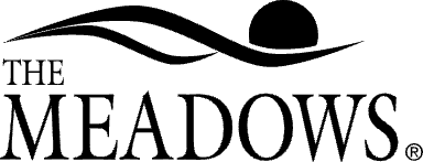 The Meadows Outpatient Center - Denver logo