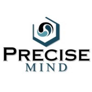 Precise Mind - Vicksburg logo