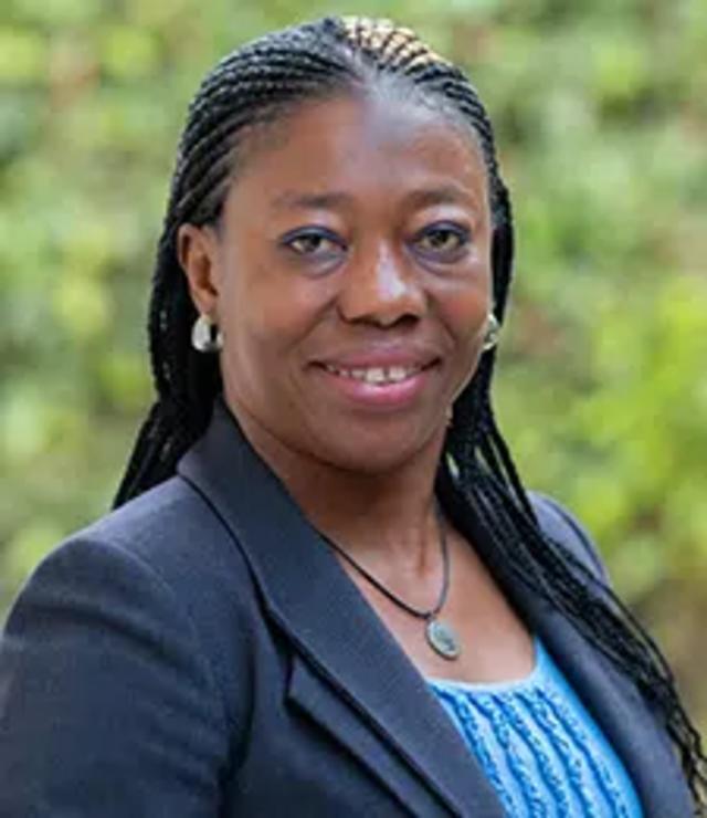 Nonye Ogoamaka