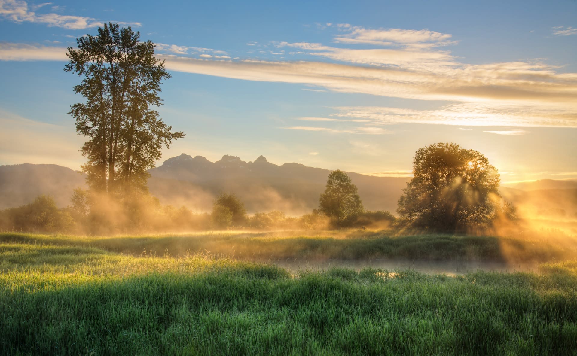 The Healing Power of Nature in British Columbia’s Rehabs