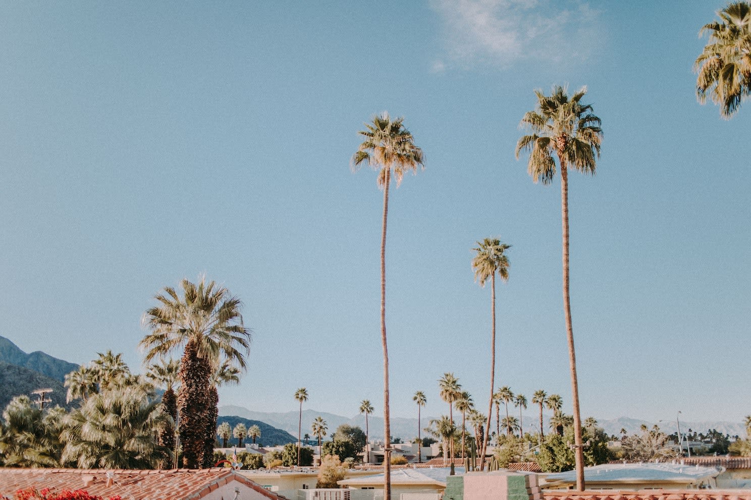 Holistic Detox in California