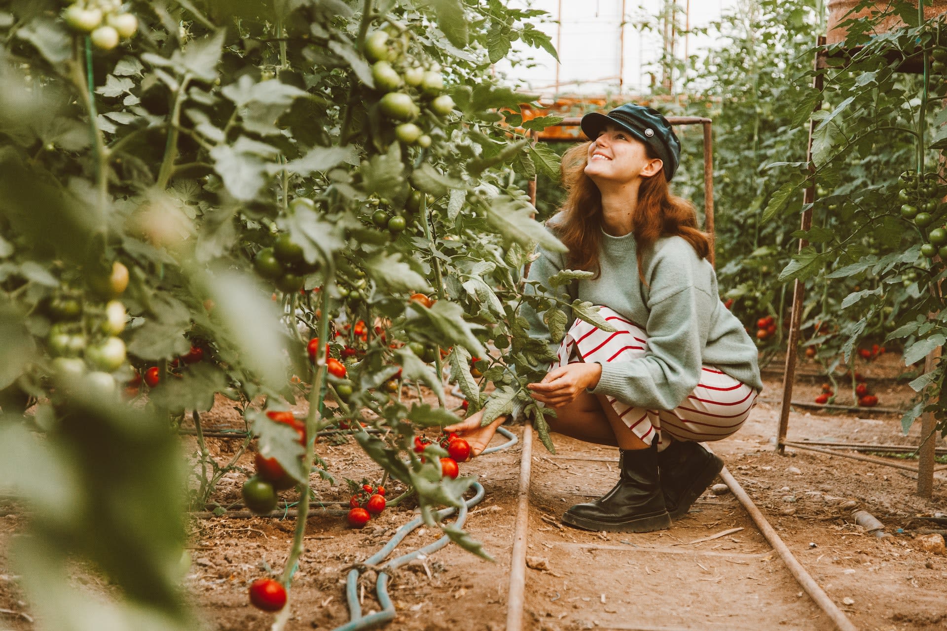 Growing Past Addiction With Horticulture Therapy
