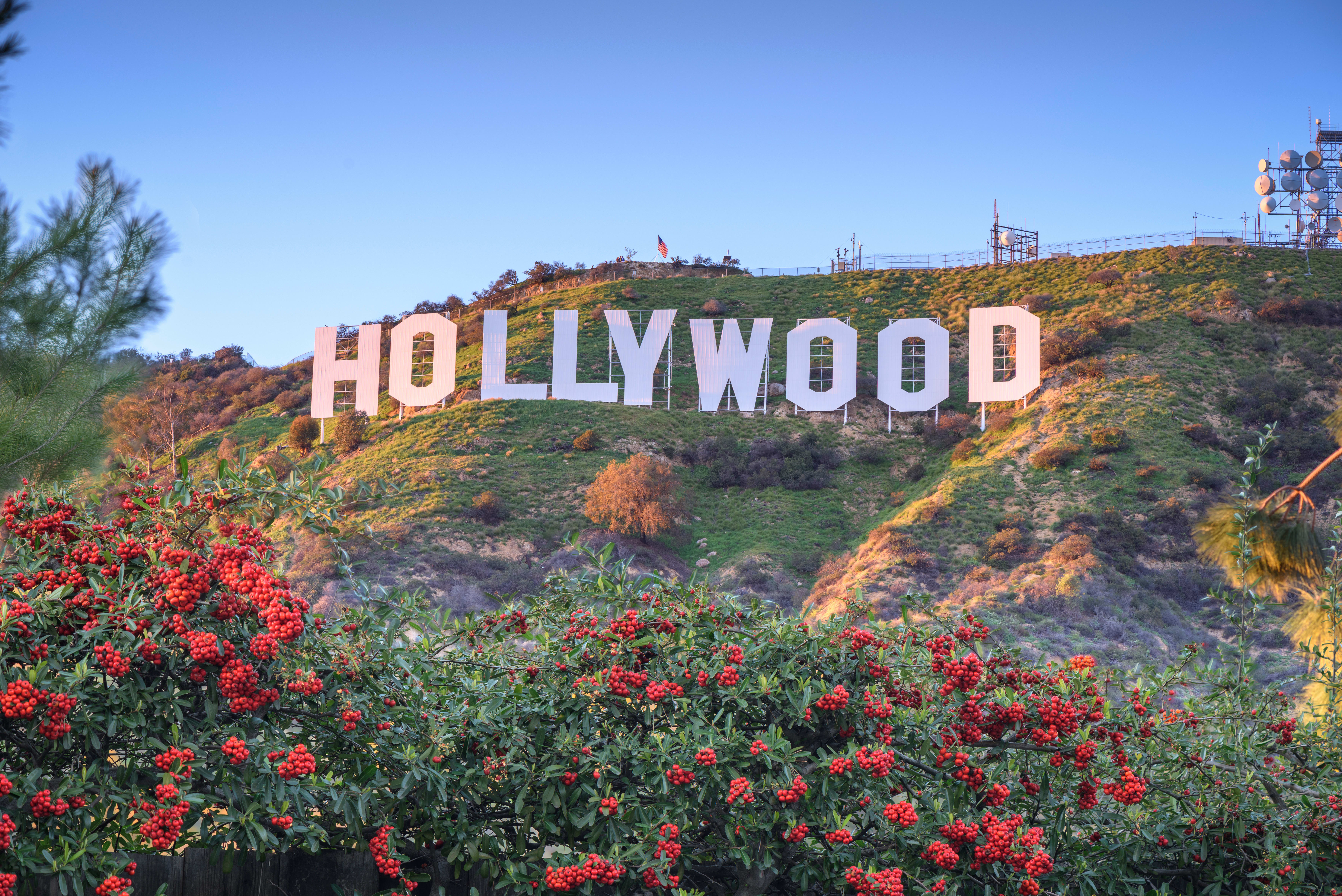 How Much Does Rehab Cost in California?