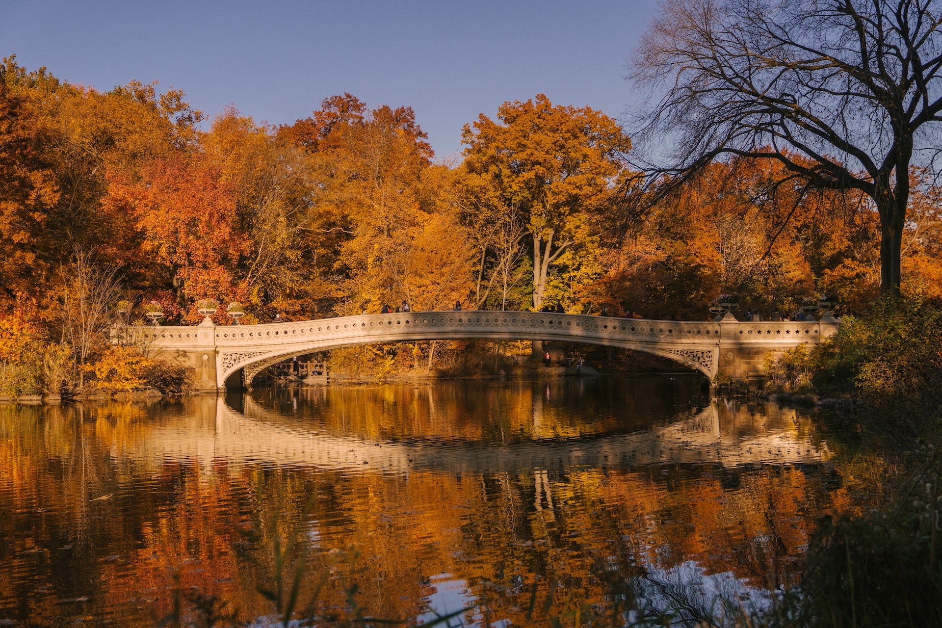 Evidence-Based Care in Quietude: New England  Rehabs