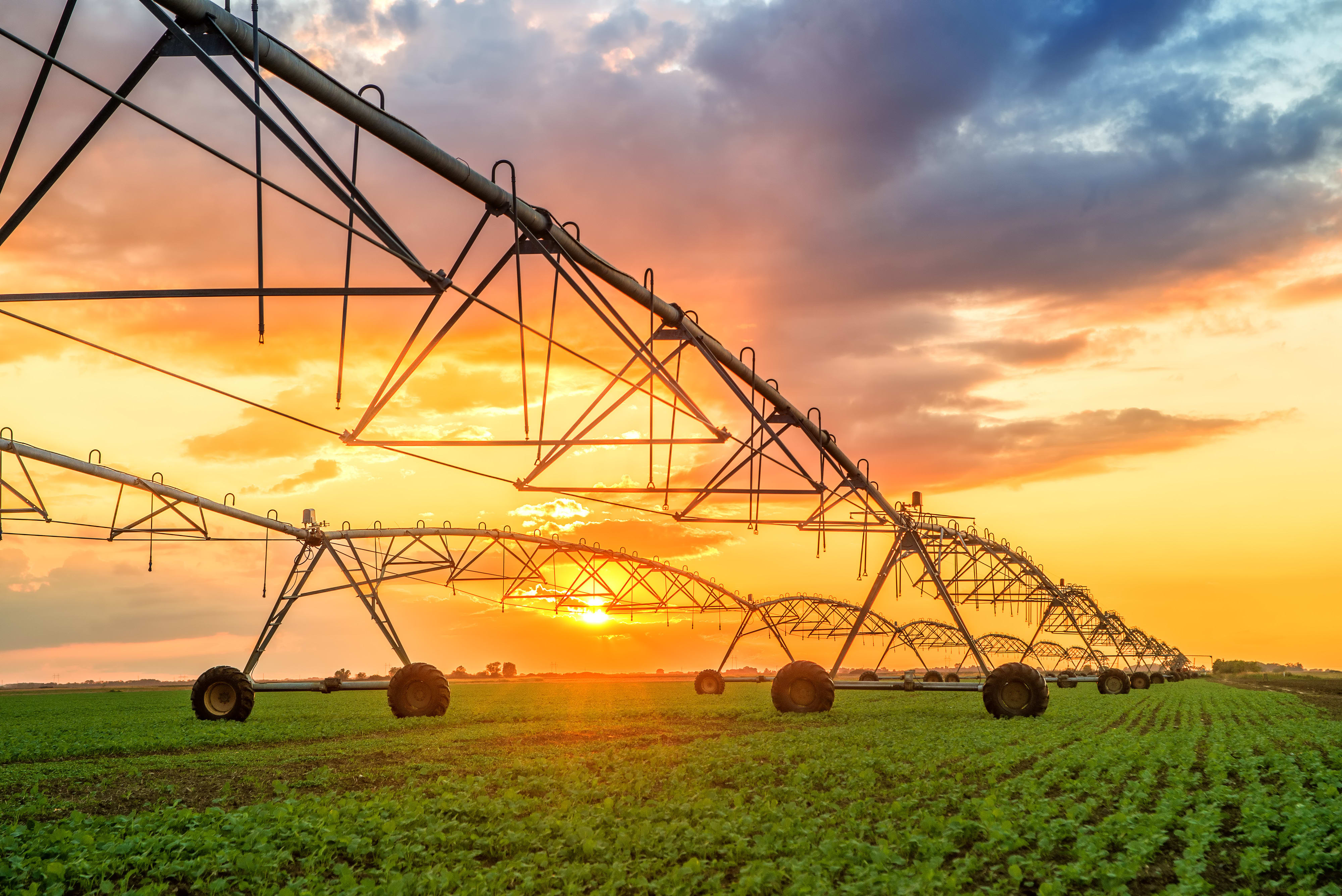 Rural Recovery: Challenges and Hope