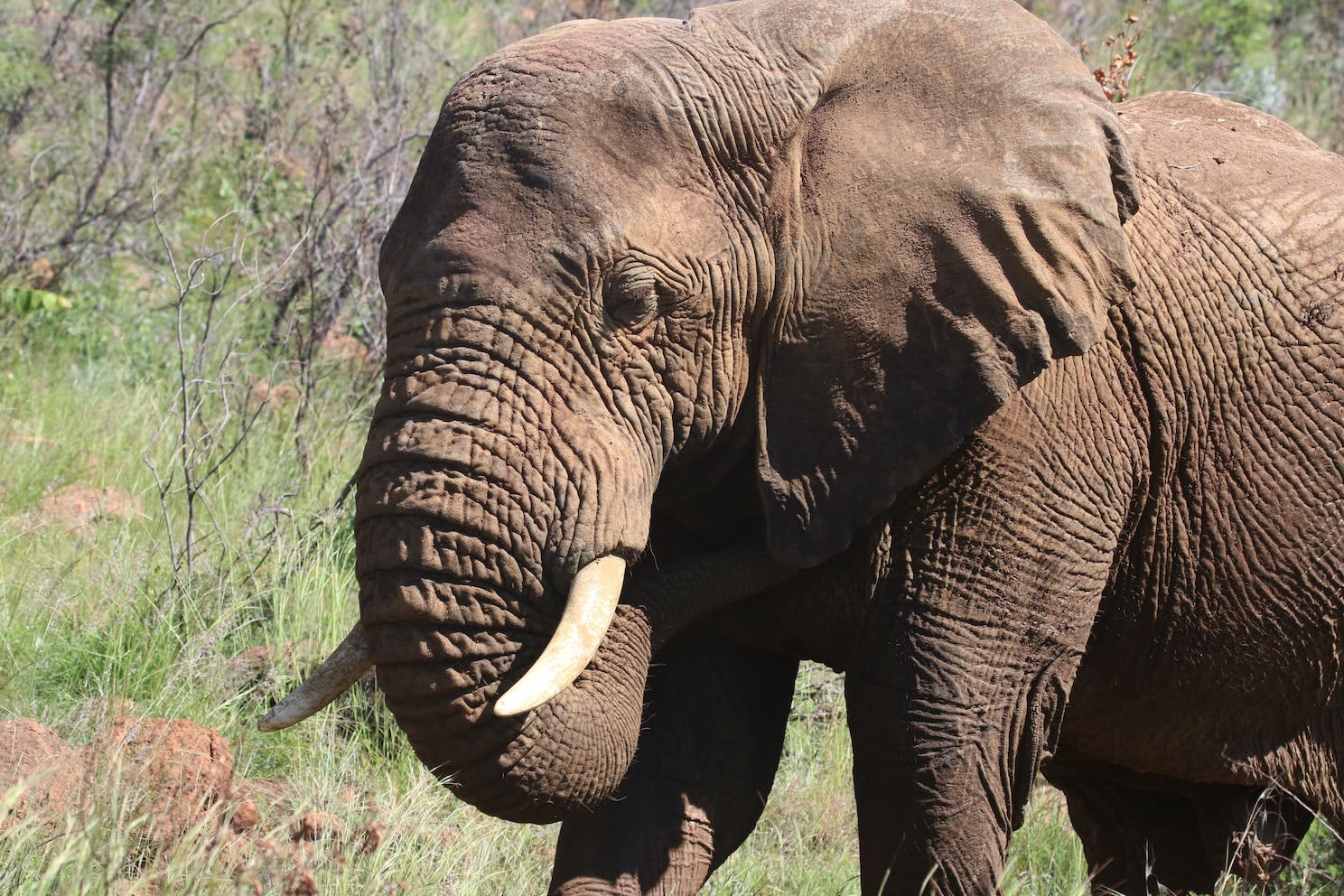 Personalized Rehab Programs in South Africa