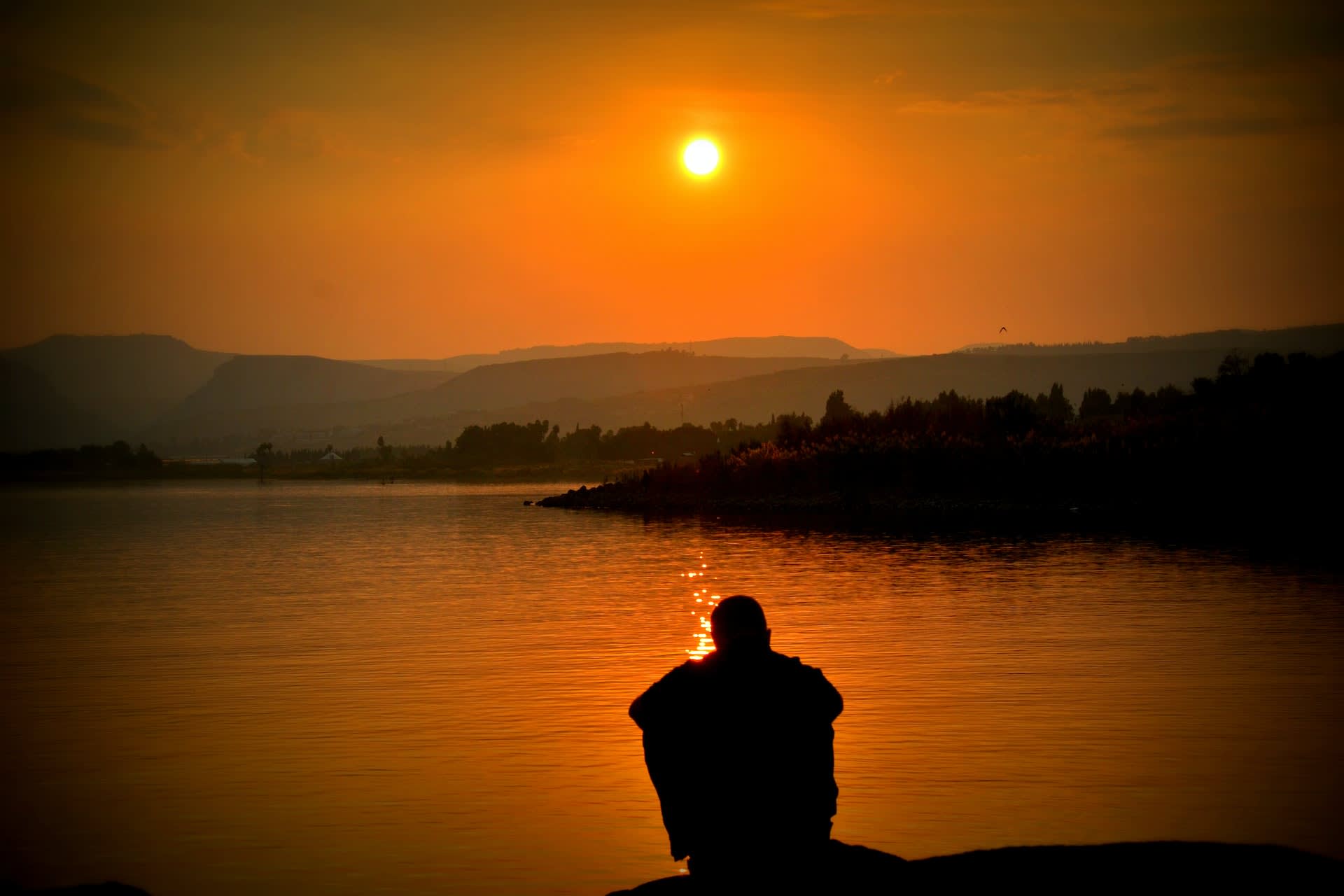 Take Control of Your Anger: Proven Therapies to Heal Chronic Rage
