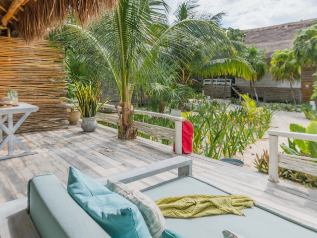 Discover Healing with Ayahuasca and More