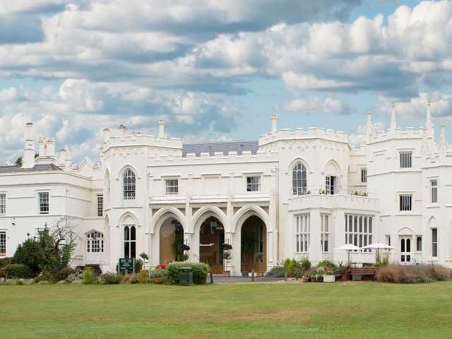 Explore the Power of Equine Therapy