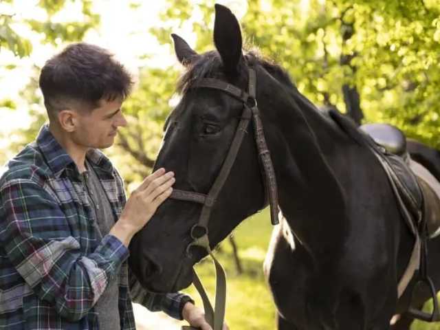 Let a Horse Teach Clients Trust