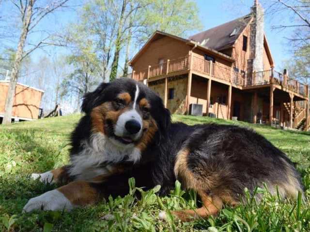 Find Stability in a Calm and Grounded Schedule