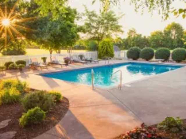 Cultivate a Supportive Sisterhood