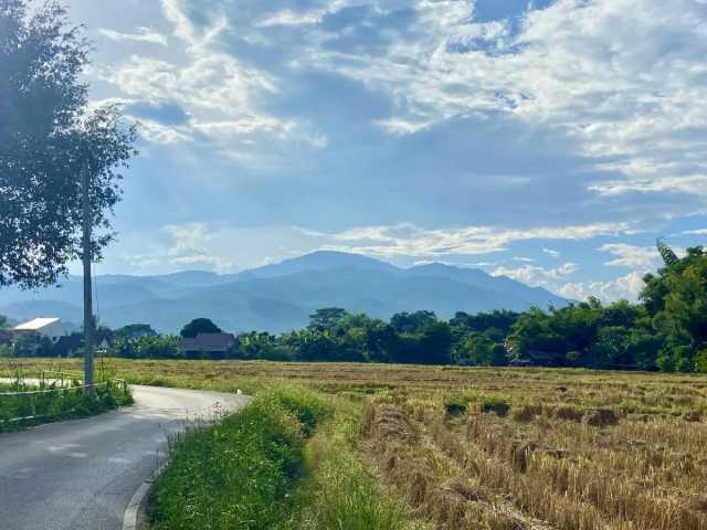 Choose the Healing Hub of Thailand