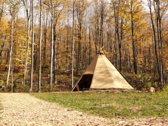 Experience Healing in a Place that Feels like Retreat