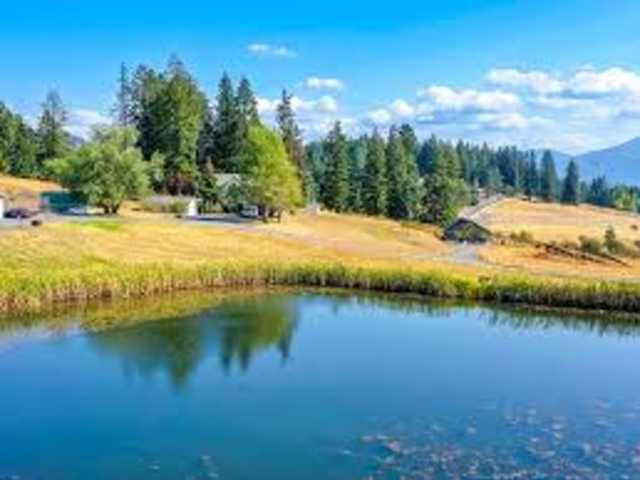 Rediscover Peace with Transcranial Magnetic Stimulation