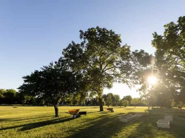 Use Nature to Ground the Mind and Lift the Mood