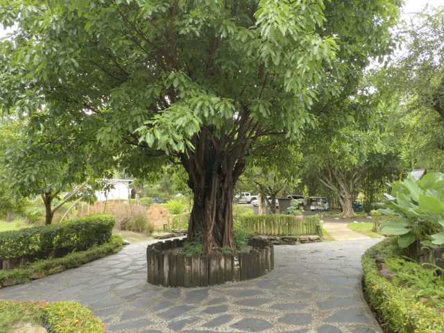 Follow a Purpose-Led Spiritual Path to Healing