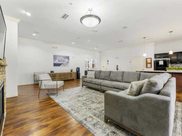 Stay Connected with Rooted Alumni Support