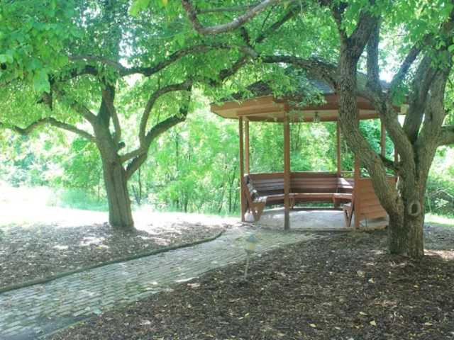 Heal from Trauma & Regain Control