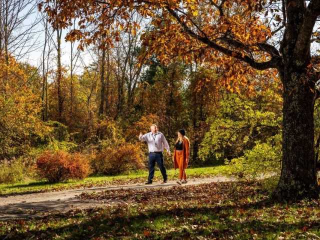 Combine Care for Mental Health and Addiction