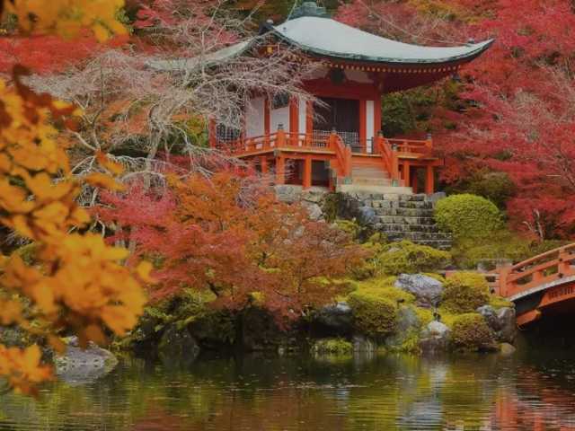 Journey into Mindfulness