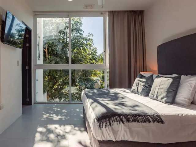 Experience Lasting Relief for Chronic Conditions