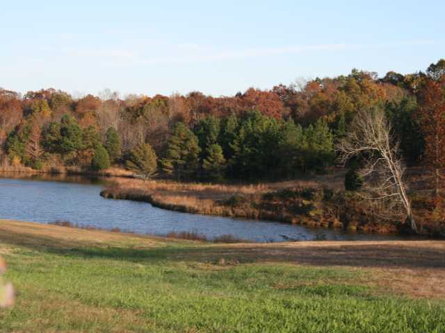 Heal in Kentucky’s Quiet Beauty