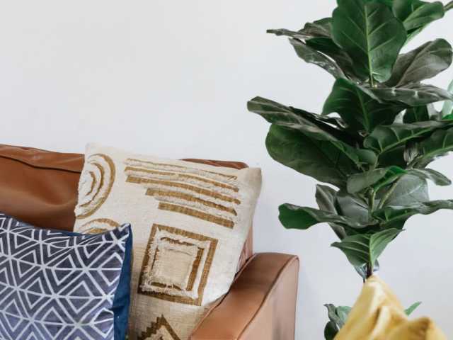 Mindfulness Practices