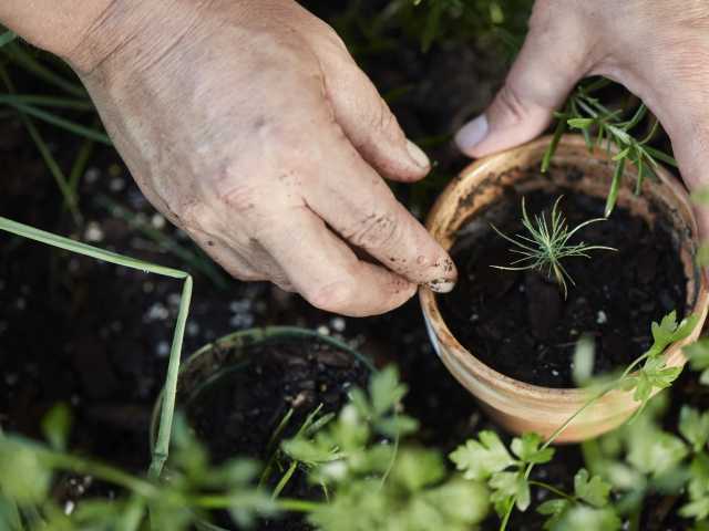 Regain Purpose and Hope with Veteran-Focused Care