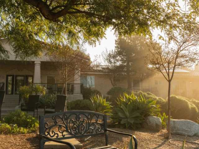 Let a Horse Teach Clients Trust