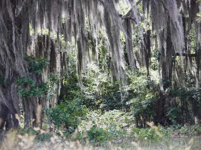 Practice Teamwork with an On-Site Ropes Course