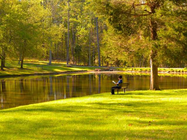 Balance Healing with High-Responsibility Careers