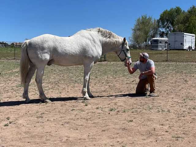 Reclaim Strength beyond the Uniform