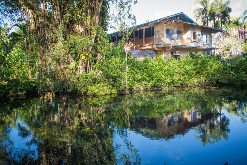 Pacific Quest Insurance, Reviews, Testimonials (Hilo, Hawaii)